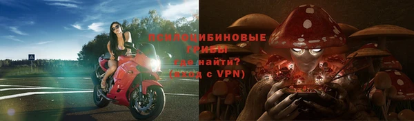 МДПВ Белокуриха