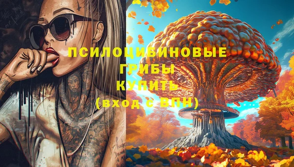 ECSTASY Белоозёрский
