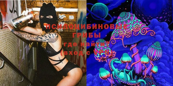 a pvp Беломорск