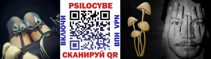 Галлюциногенные грибы Psilocybine cubensis  Малмыж 